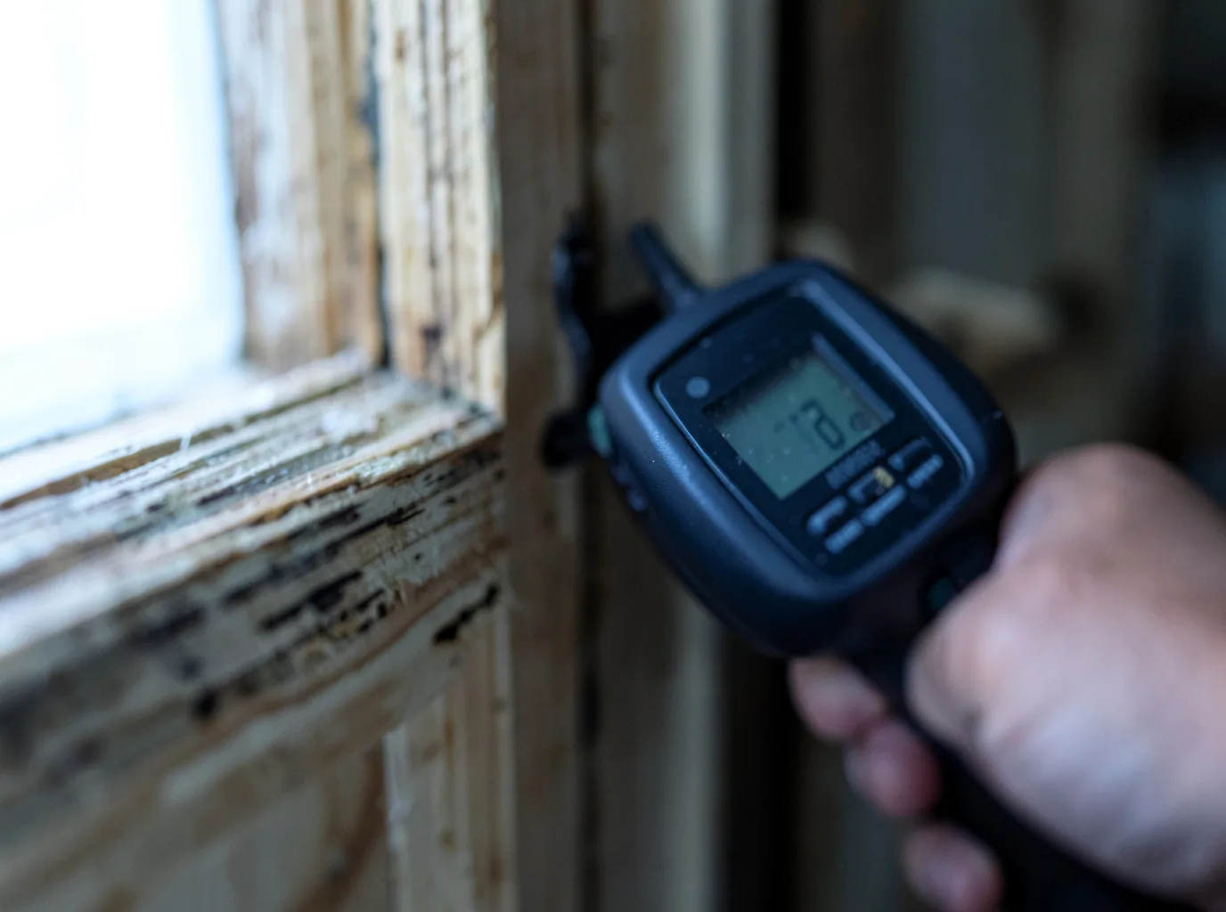 Moisture Inspection And Documentation in Foley, MN